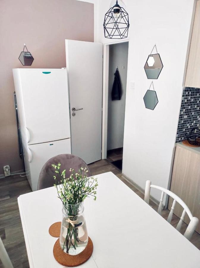 Apartman Domov Дечин Экстерьер фото